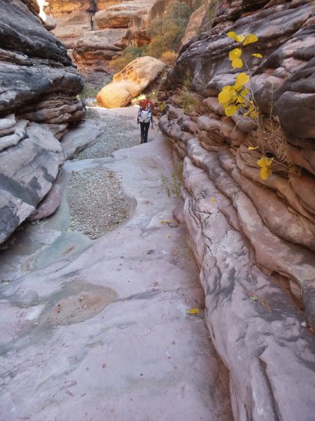 File:Flipoff Canyon Banner.jpg