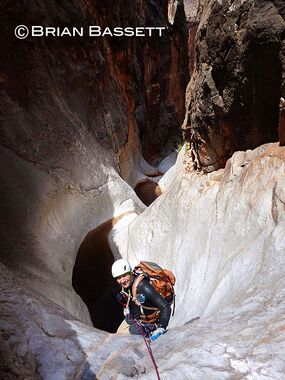 Plan B Canyon Banner.jpg