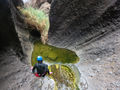 Thumbnail for version as of 15:51, 6 December 2021