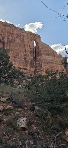 File:Chasm Canyon pic008.jpg