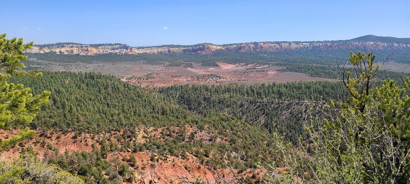 File:Cougar Canyon (New Mexico) pic15.jpg
