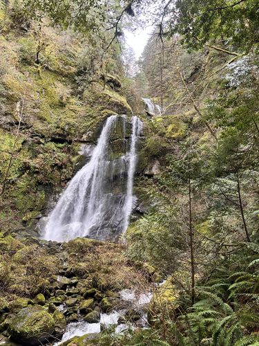 Elk Creek-20230223032833 pic.jpg