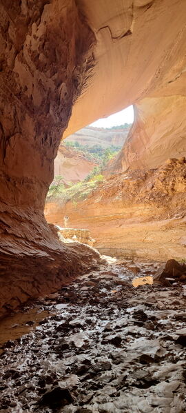 File:Knee Canyon (South) pic014.jpg