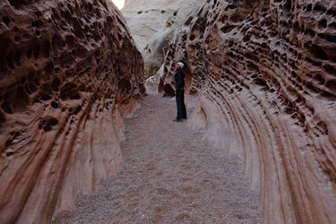 Little Wild Horse Canyon Banner.jpg