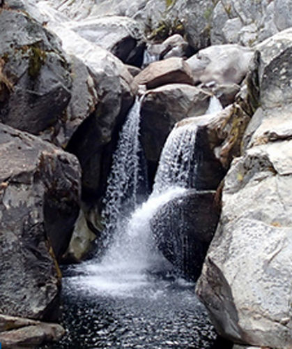 Marble Fork Kaweah River (Chrysalis)-20141119075458 pic.jpg
