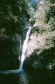 Thumbnail for version as of 06:36, 1 September 2024