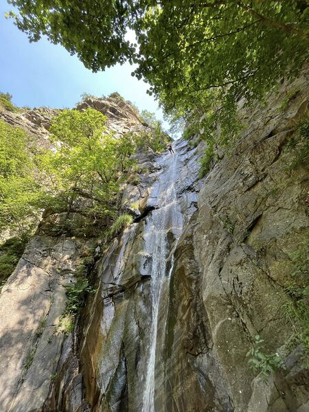 File:Salt Grill Banner.jpg