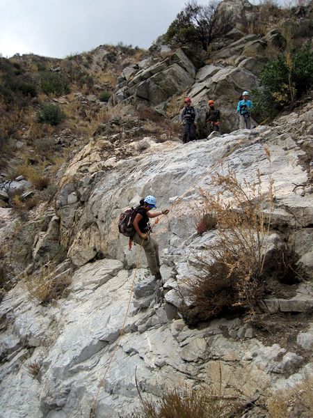 File:Fantastic Mr. Fox Canyon Banner.jpg