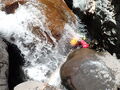 Thumbnail for version as of 04:09, 18 July 2023