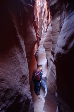 Not Mindbender Canyon Banner.jpg