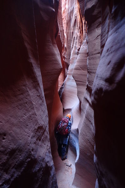 File:Not Mindbender Canyon Banner.jpg