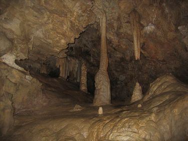 Oregon Caves Banner.jpg