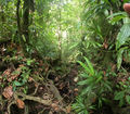 Thumbnail for version as of 00:35, 11 January 2023