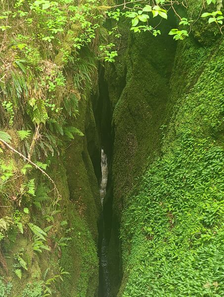 File:Black Rock Gorge Banner.jpg