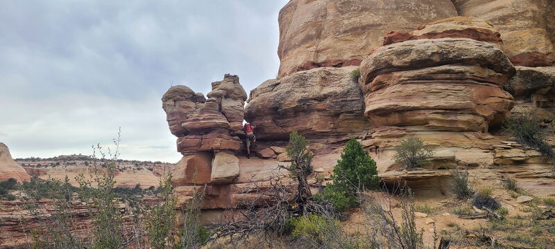 File:Knee Canyon (North) pic011.jpg