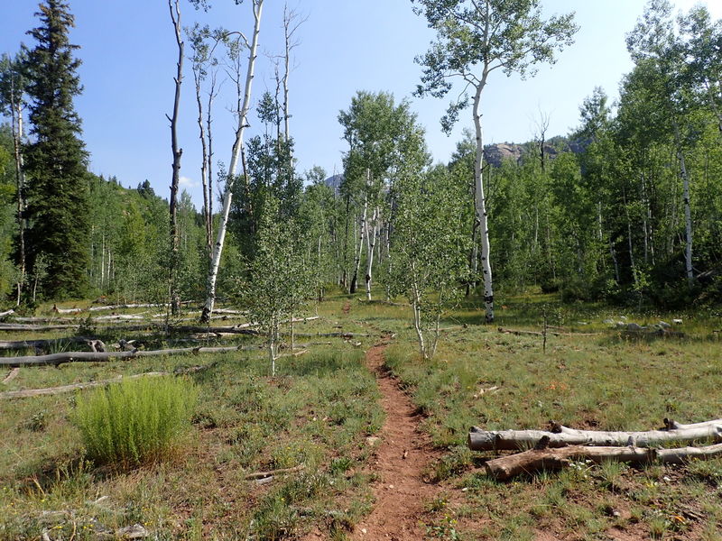 File:Lime Creek (Durango) Lime001.jpg