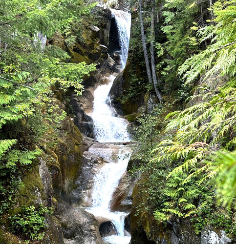 Thornton Creek-20240915023717 pic.jpg