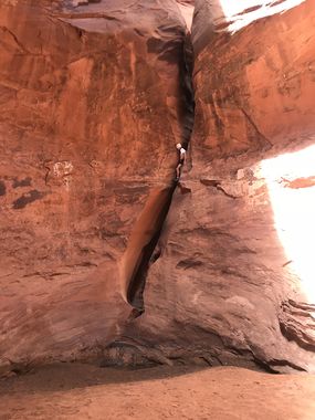 Trachyotomy Canyon Banner.jpg