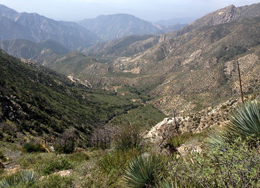 Vogel Canyon (Left Fork) Banner.jpg