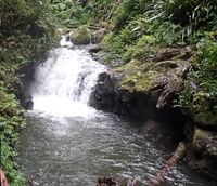 Black Canyon (QLD)-20241017125035 pic.jpg