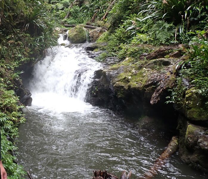 File:Black Canyon (QLD)-20241017125035 pic.jpg