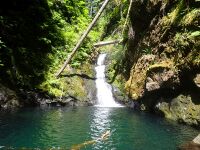 Cougar Creek-20250701192357 pic.jpg