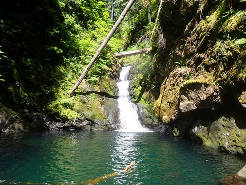 Cougar Creek-20250701192357 pic.jpg