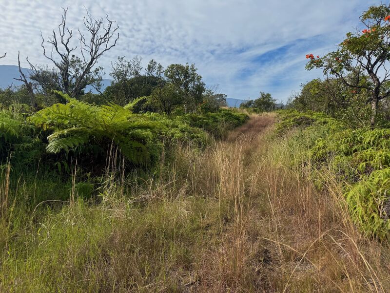 File:Emerald Canyon grassytrack.jpg