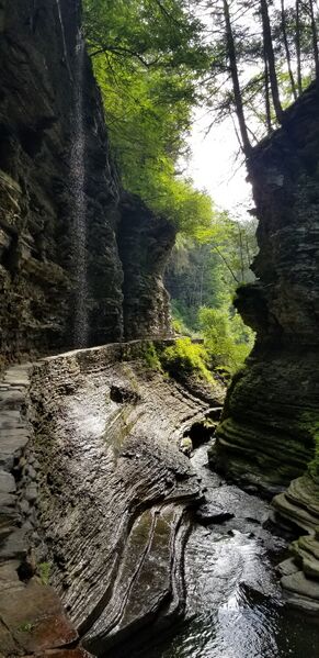 File:Glen Creek pic006.jpg