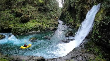 Humptulips River (East Fork) Banner.jpg