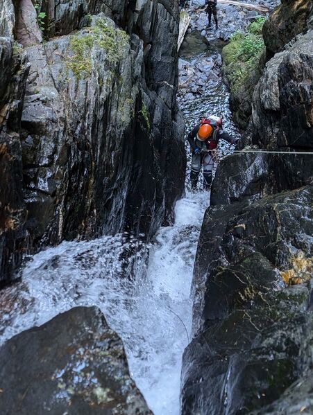 File:Hungry Bear r8.jpg