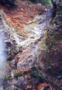 Lucas Creek (Upper) Banner.jpg