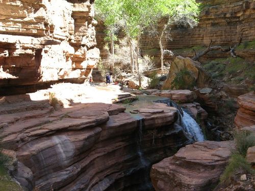 Deer Creek (Grand Canyon)-20180501025356 pic.jpg