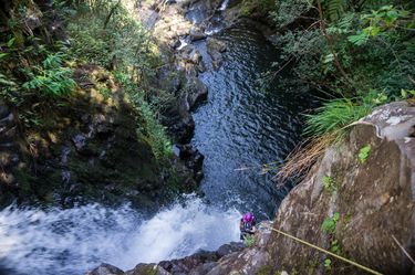 Waikaumalo Creek Banner.jpg