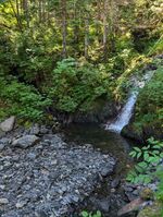 Hungry Bear-20240729222646 pic.jpg