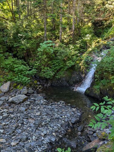 Hungry Bear-20240729222646 pic.jpg