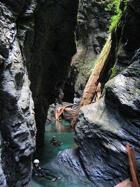 File:Looper Creek Banner.jpg
