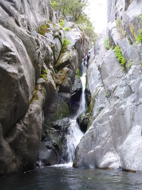 Lower Chambers Creek (Sleep Disorder) Banner.jpg