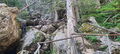 Thumbnail for version as of 03:04, 23 August 2024