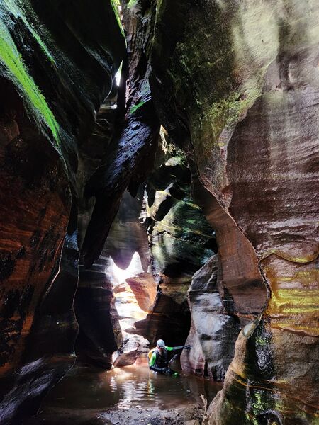 File:Surefire Banner.jpg