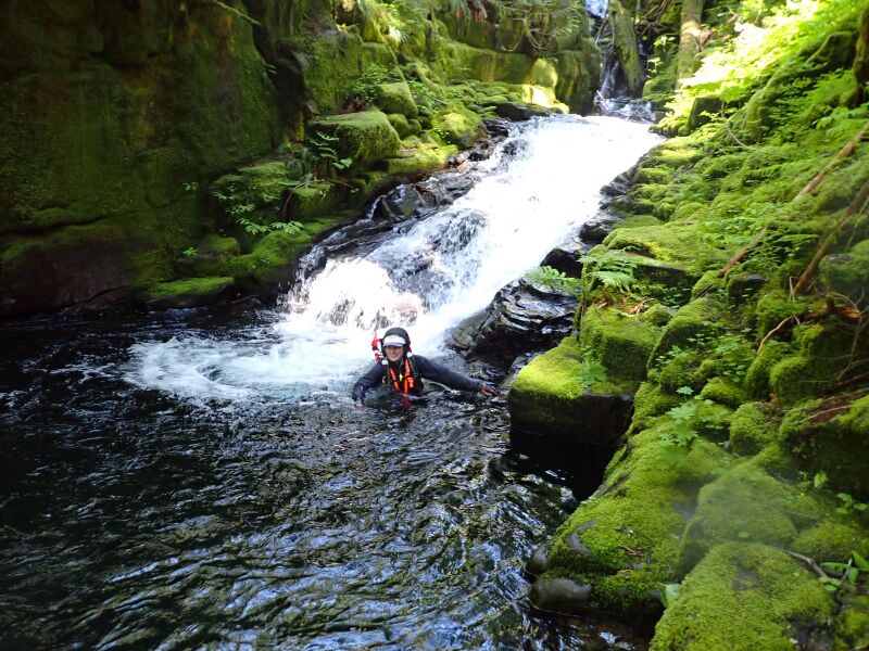 File:Cougar Creek HoM.jpg