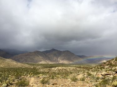 Coyote Canyon Banner.jpg