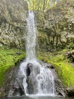 Three Corner Creek-20240520080127 pic.jpg