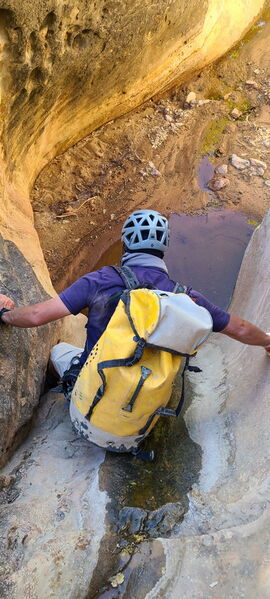 File:Carcass Canyon (Dinosaur) pic14.jpg