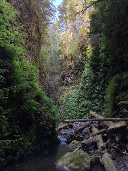 File:FILE-20250803184422.jpg
