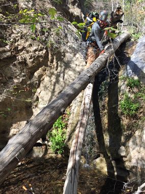 Laurel Springs Canyon Banner.jpg