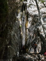 Monkeyface Creek-20141204081608 pic.jpg