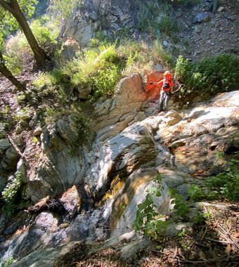 El Prieto Canyon Banner.jpg