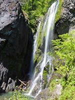 Henline Creek Canyon-20150509050956 pic.jpg