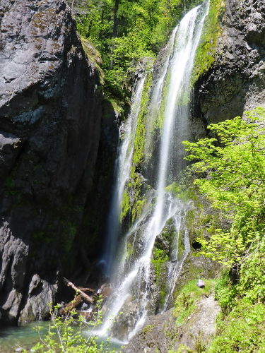Henline Creek Canyon-20150509050956 pic.jpg